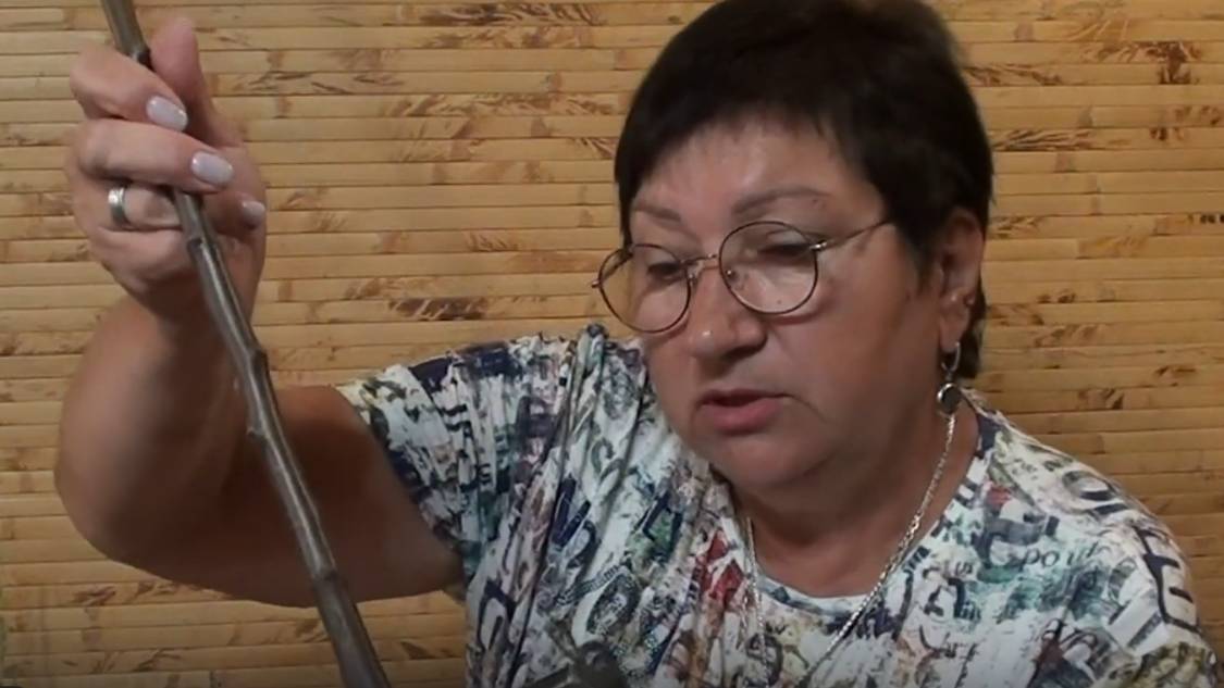 Когда лучше сажать растения ? Весной или осенью? И что такое закрытая, открытая корневая ? смотреть онлайн