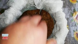 Как вкусно засолить опята на зиму Солим пластинчатые грибы горячим способом!