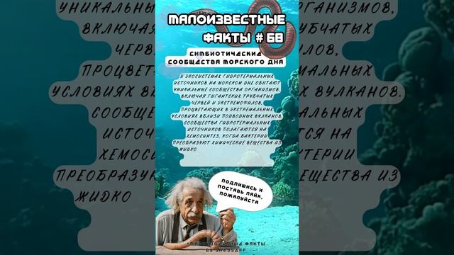 Симбиотические сообщества морского дна |Малоизвестныефакты|2сезон| #68