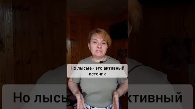 Бородатый и лысый повар! #еда #кафе #столовая #ресторан #хассп #санпин #проверки #штраф #обучение