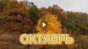Осень. Октябрь 24