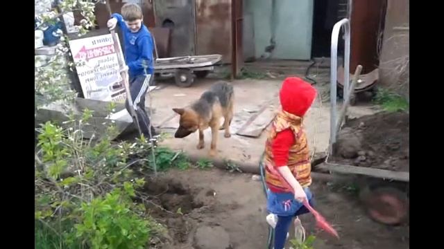 ОМГ Сажаем деревья в первый раз Plant trees for the first time/мир Кати и Миши смотреть онлайн