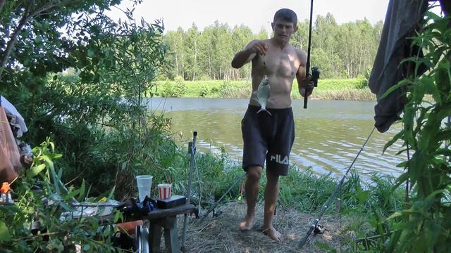 На что ловить леща летом часть #2