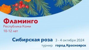 Фламинго, соревнования "Юные гимнастки" 2024, Красноярск