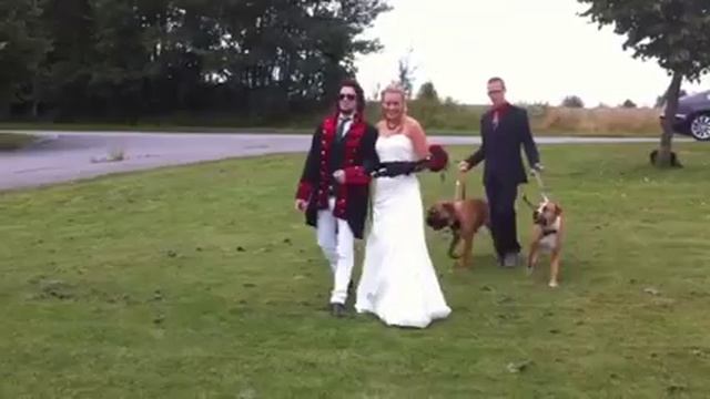 Therese och Andreas bröllop смотреть онлайн