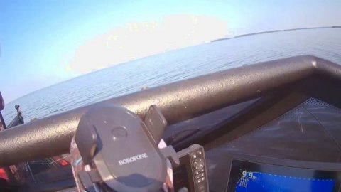 PAL 2024. 2-й Тур.