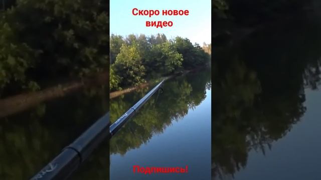 Джиг на водохранилище с берега. щука и судак. живописный водоём. спиннинг в жару