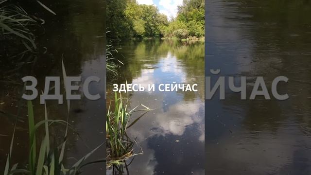 Здесь и сейчас. Красота! Слава Богу за всё!..