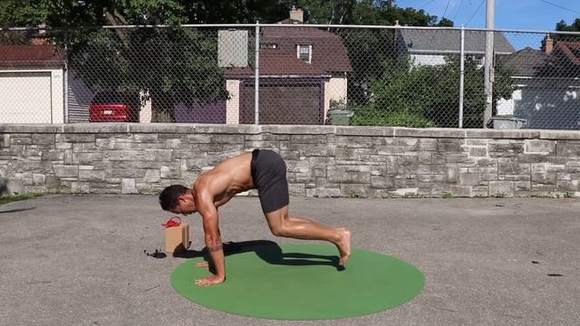 PRIMAL MOVEMENT FITNESS Bodyweight & Core Workout (Follow Along)