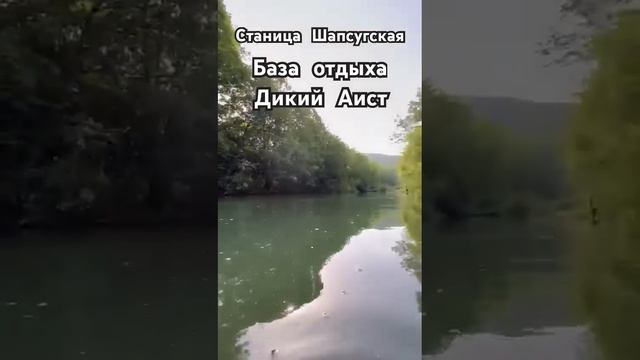 Утренний улов# рыбалка #активныйотдых #река#краснодарскийкрай #путешествия #рыбалка #рыба #лес смотреть онлайн