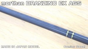 DAIWA 2020 morthan BRANZINO EX AGS Made in Japan model.