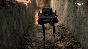 LimX Dynamics’ Biped Robot P1