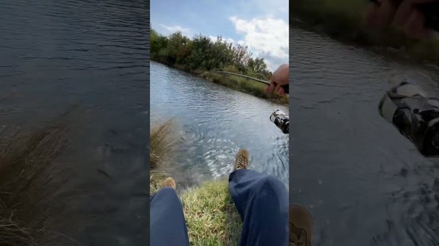 Выходной на рыбалке вместе с семьёй . Ловля щуки #спиннинг #рыбалка #fishing #fish #щука смотреть онлайн