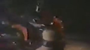 the Misfits live 1981