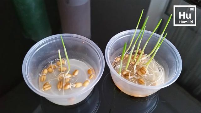 Гумилид РС-10 Удобрения которое приносит прибыль смотреть онлайн