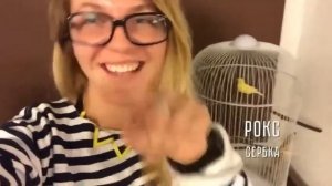 я сати тебе на и