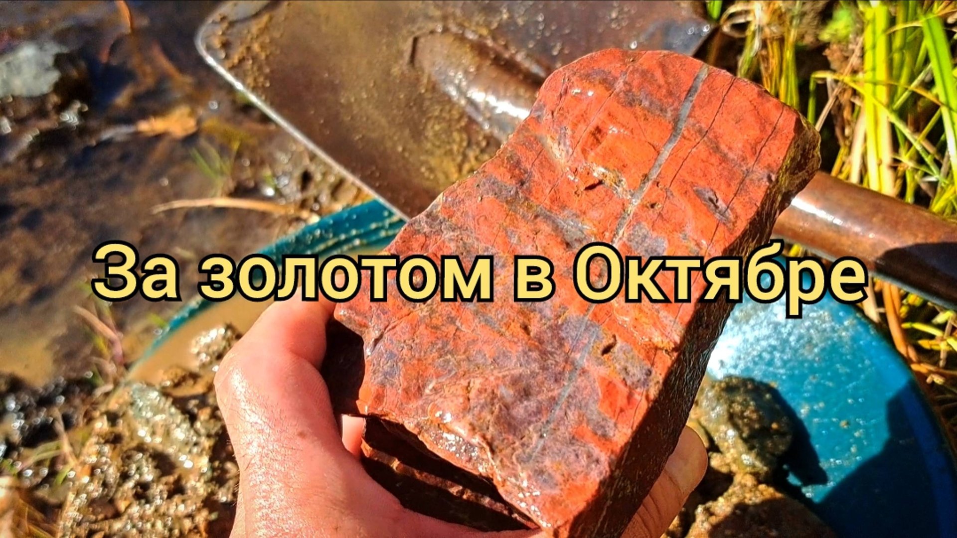 За золотом в Октябре смотреть онлайн