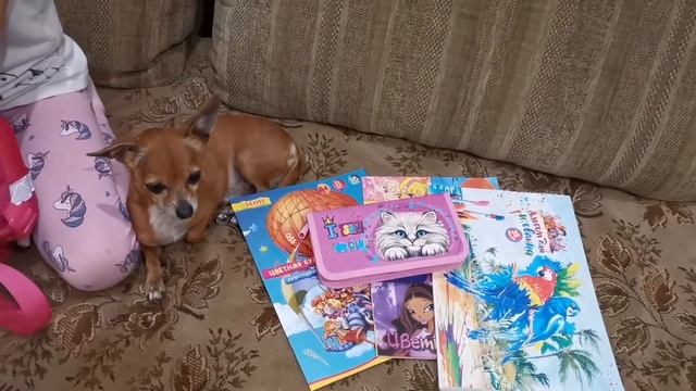 BACK TO SCOOL 2022. Распаковка канцелярии. смотреть онлайн