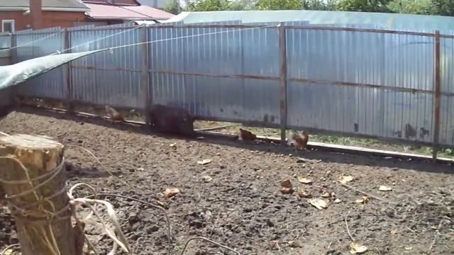 Переезд на Юг в деревню . Вам сюда