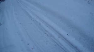 Следы кабана. 17 февраля 2019