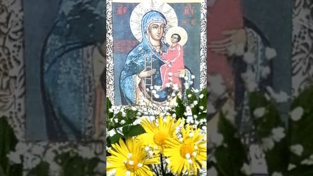 Молченская.