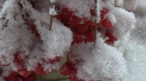 СНЕЖНЫЙ ВАЛЬС.