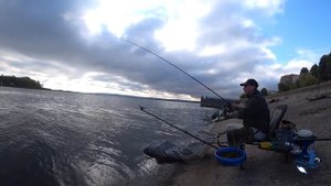 Плотва на фидер осенью. Где и как ловить. Октябрь 2019