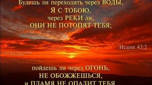 Добрые руки с неба