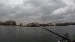 Разлавливаю новый Раттлин TsuYoki Bard 72S