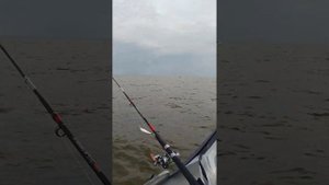 X-RIVER Rocky 335/Suzuki df6 four stroke против Флагман 350 НДНД/Sea-pro 9,9.2 такта.