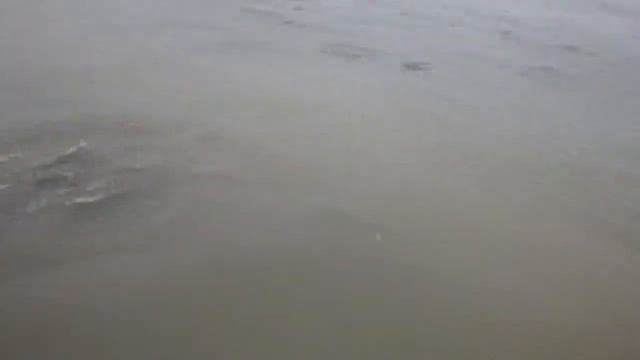 Spin Fishing for Salmon in Alaska Big River Fish смотреть онлайн