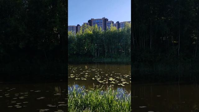 Город Иваново, река Уводь смотреть онлайн