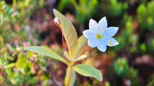 самый лучший день