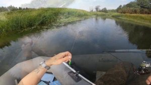 Бешенный Жор Голавля На Микро-Таппи,Река БЫСТРИЦА...