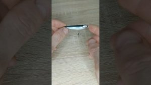 обзор волкера Михаила Петина