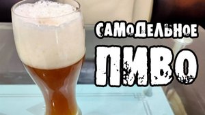 САМОДЕЛЬНОЕ ДОМАШНЕЕ ПИВО. Первая варка. Результат удивил