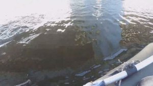 ЩУКИ НА ТЕЙЛ-СПИННЕРЫ. ИЮЛЬ 2024. РЫБАЛКА В САРАТОВЕ.