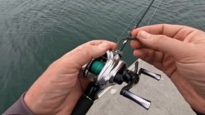 119g Purelure Silver Feather BFS Reel Review (Worlds Lightest) #bfsfishing #bassfishing