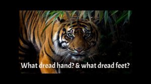 The Tiger - William Blake