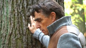 Как сейчас можно включить периоды работы в стаж, если СФР их исключил: новые примеры