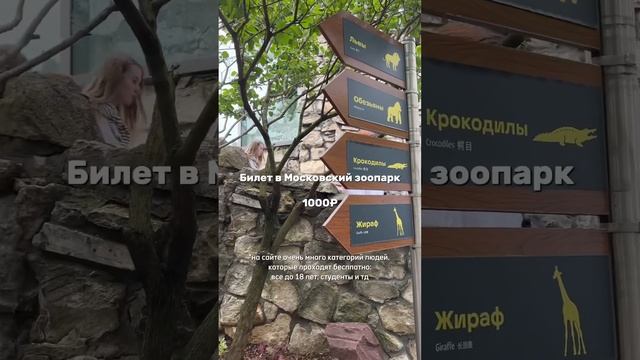 ЧАСТЬ 1. Сколько стоит поездка в Москву на два дня?🚂 (2 часть в профиле) #путешествие #лайф #семья
