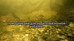 Эффект подсветки: тайны успешной ночной рыбалки!