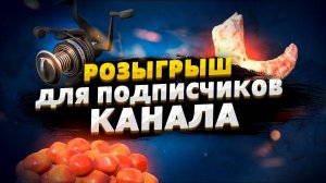 РОЗЫГРЫШ ПРЕМИУМА И ГОЛДЫ!!! Русская Рыбалка 4, Russian Fishing 4