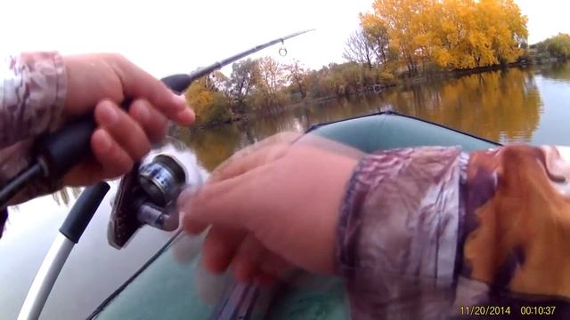 Осенний судак на домашнем водоеме. смотреть онлайн