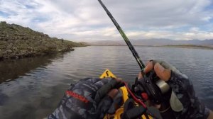 Abu Garcia Black Max