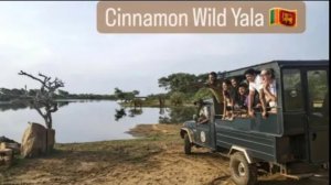 Cinnamon Wild Yala лодж в 5 минутах от Парка Яла Шри -Ланка #Шриланка #паркяла