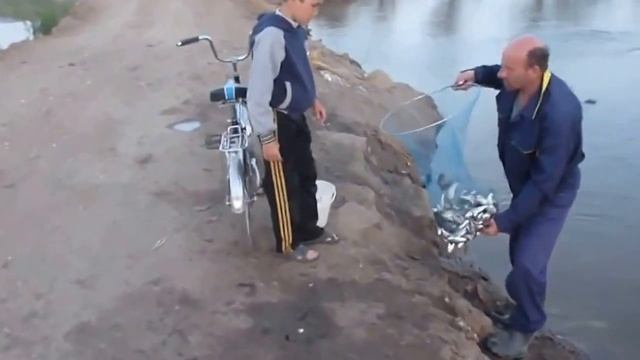 Хотел бы и я на такую рыбалку смотреть онлайн