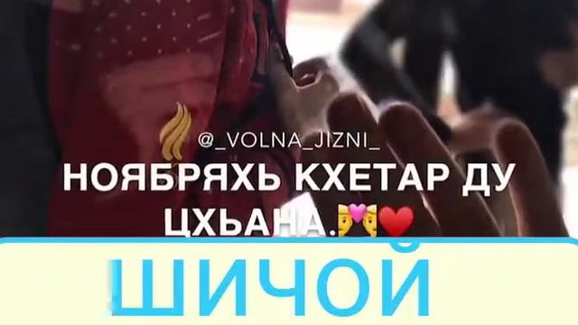 Шичой