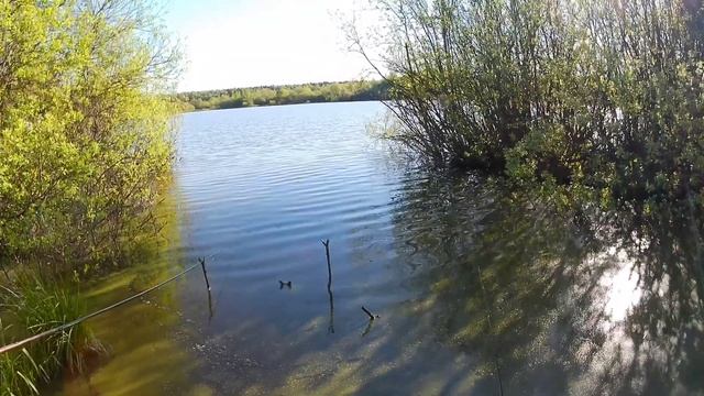 Рыбалка на озере детства. Карась на удочку. Майская рыбалка. #подпишись #весна #рыбалка