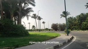 Хургада /Отель Алладин /Бесплатная экскурсия